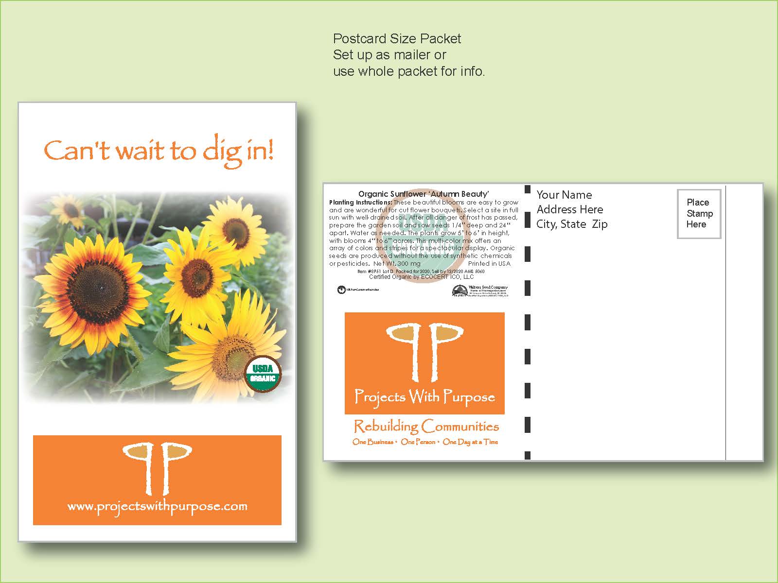 Organic Sunflower Autumn Beauty Seed Packet - Postcard Mailer Size 4" x 6.5" 1