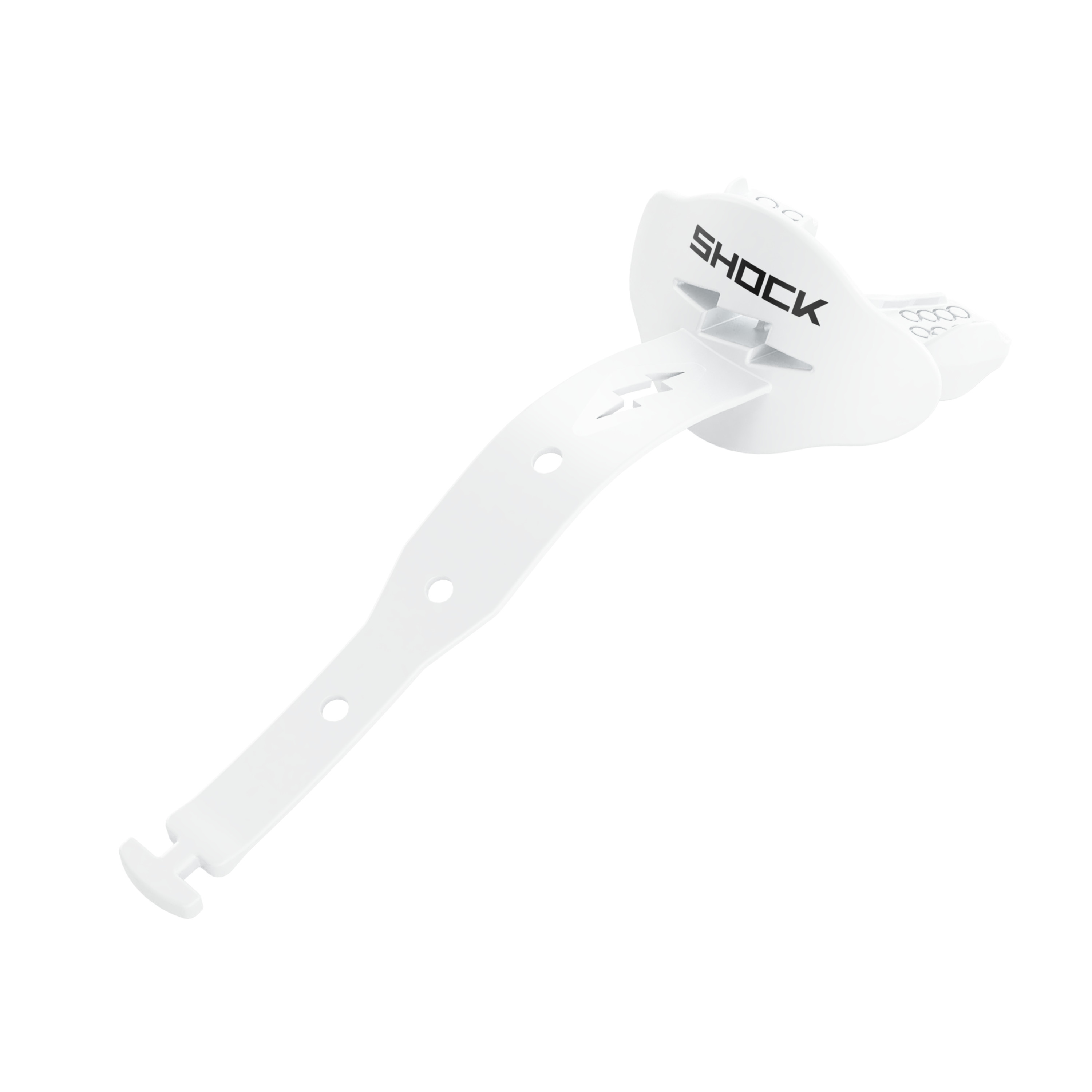 Bolt Lipguard (Team Only) 13