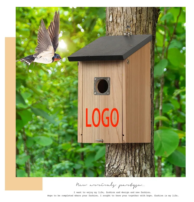 Wooden Birdhouse with Bird Feeder 3