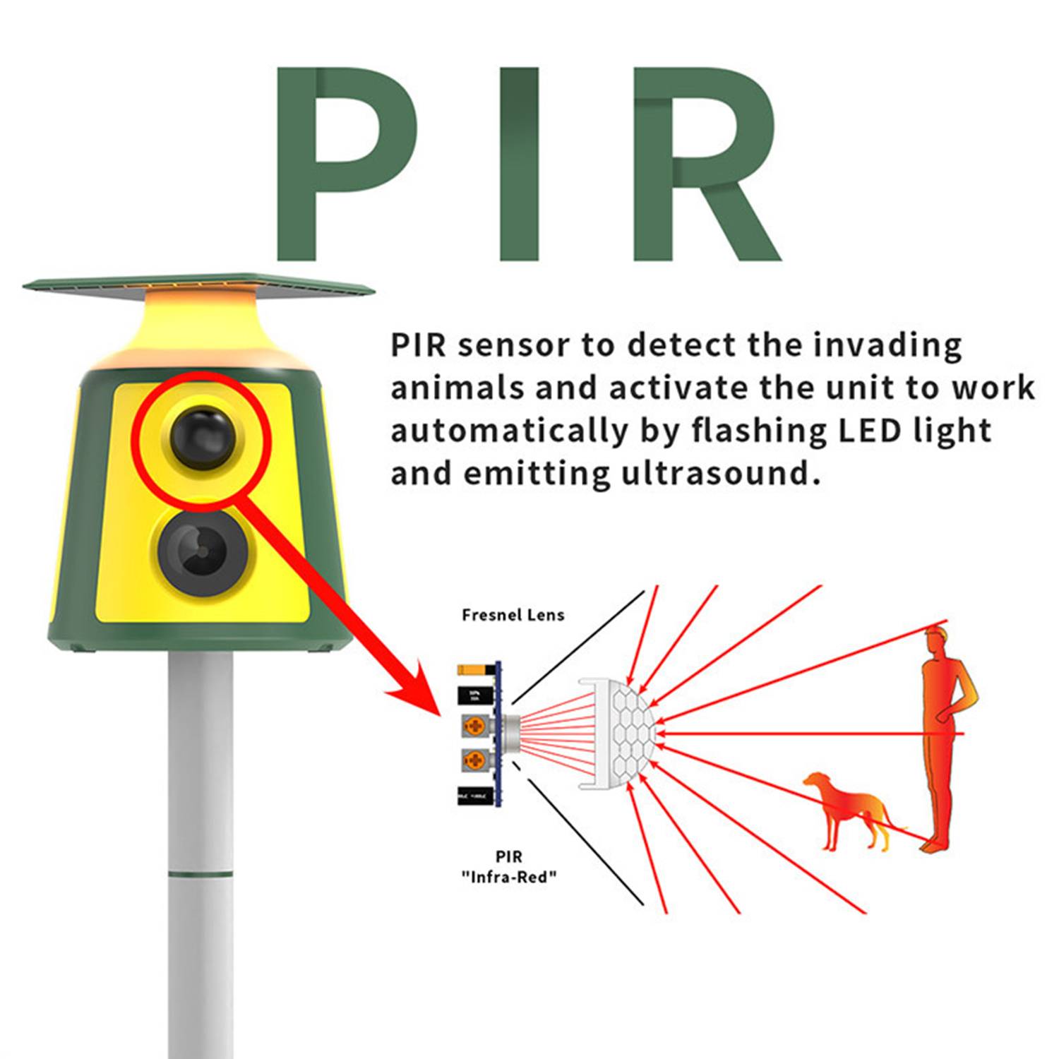 360 degree solar animal repeller 1