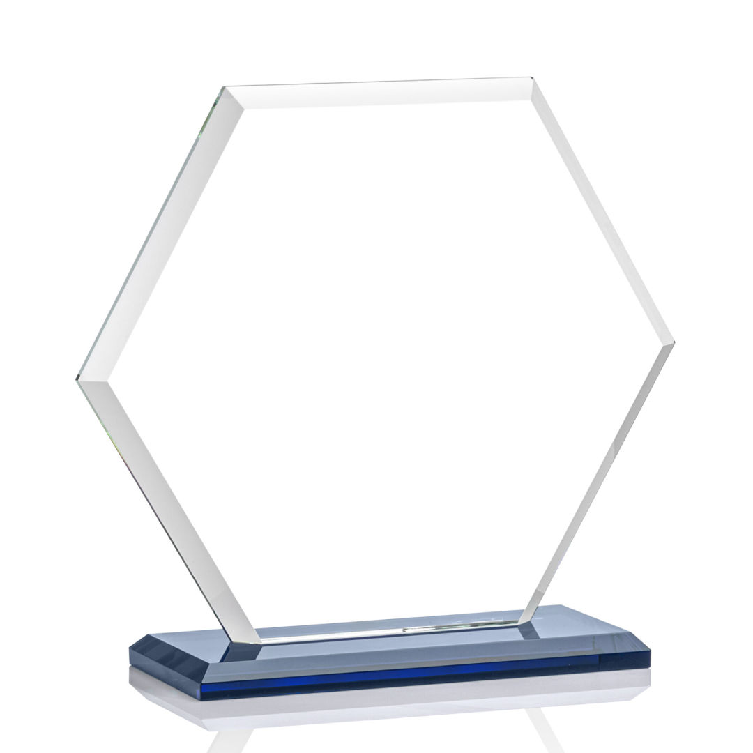 Barnett Award - Blue 7
