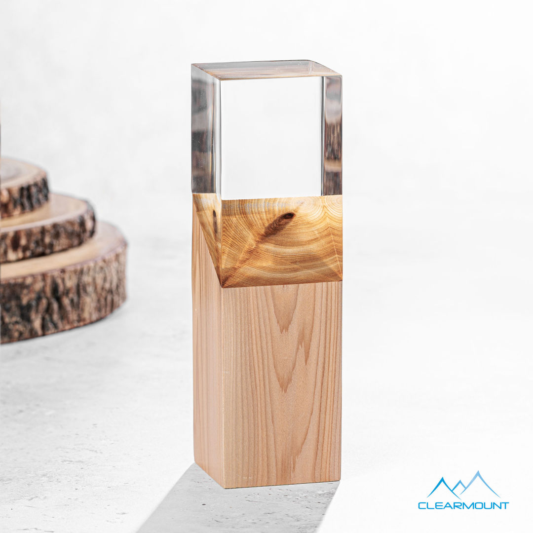 Coteau Award 2