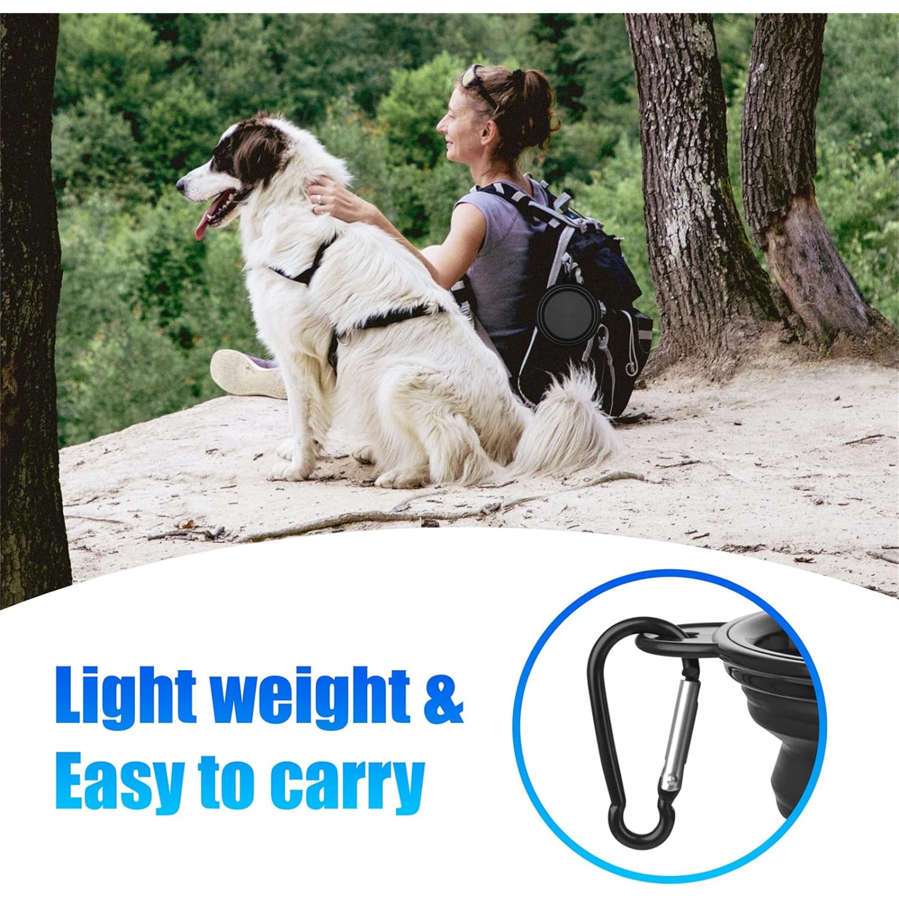 Collapsible Dog Bowl 5