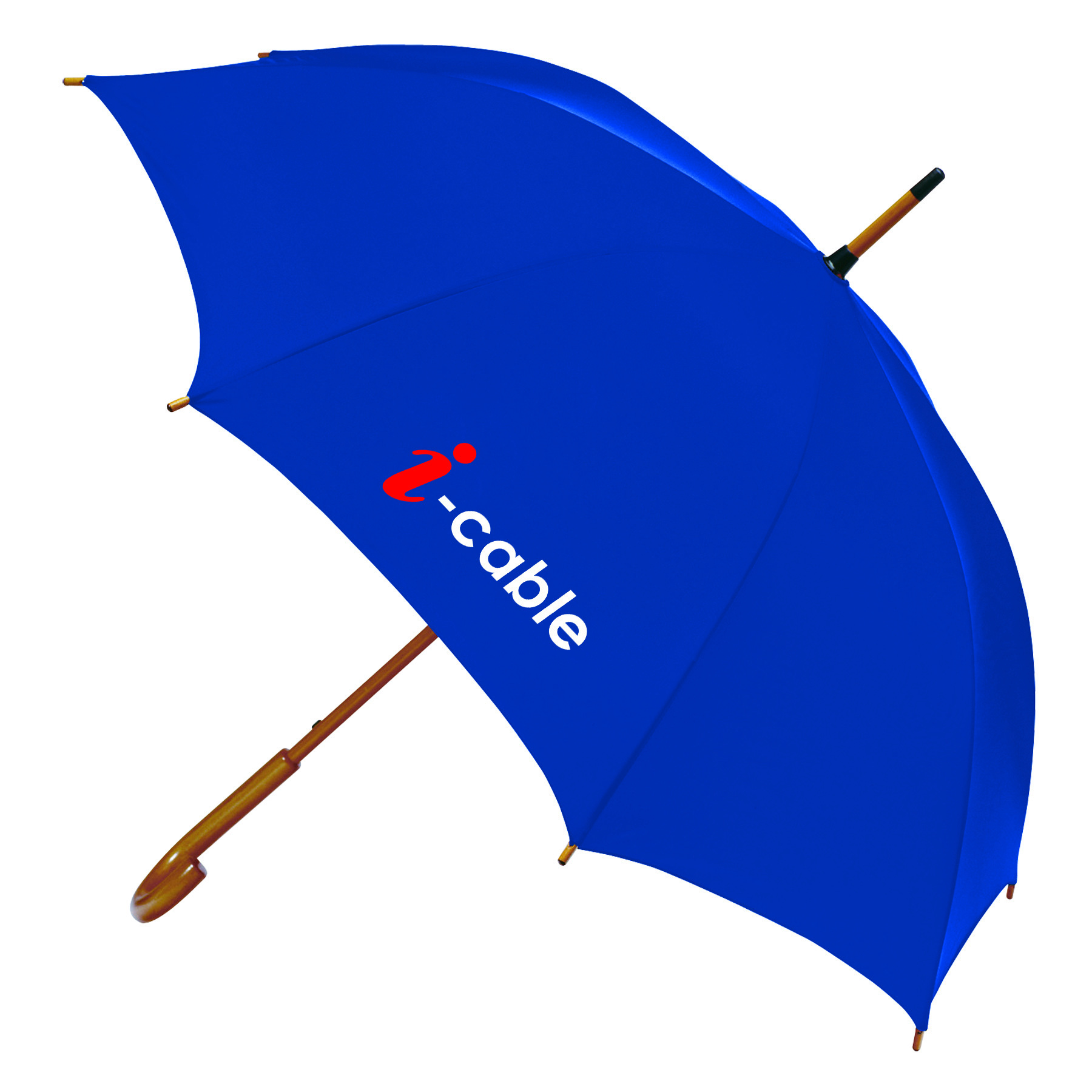 EXECUTIVE UMBRELLA: 48" Arc with Hook Handle 25