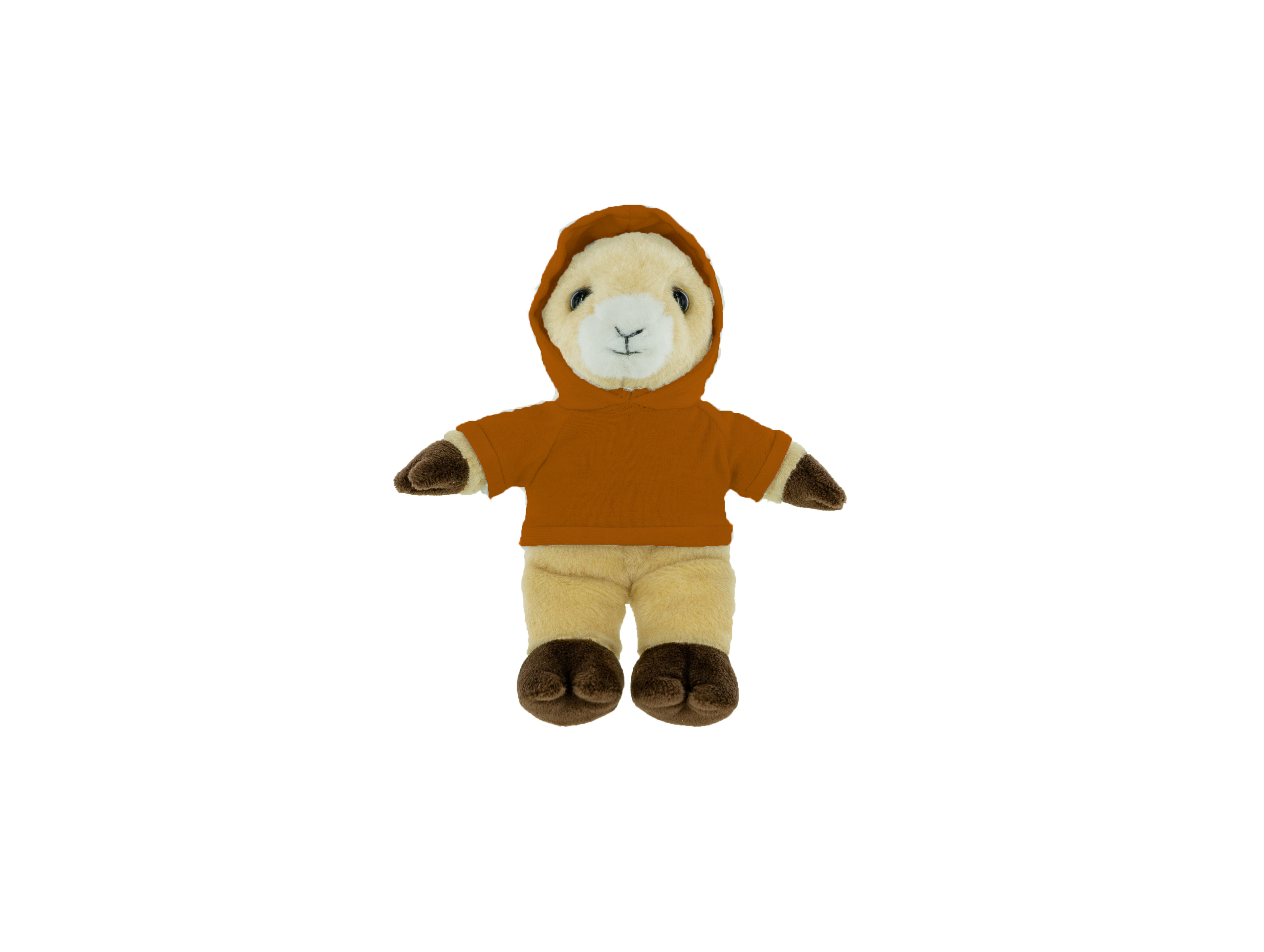 Plush Ram with Hoodie 14