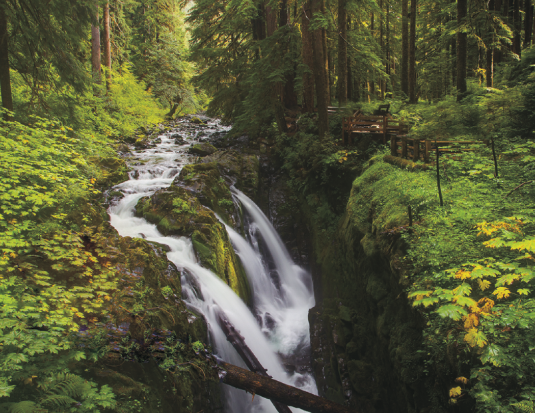 HotLine® Products Catholic Reflections Appointment Calendar - Stapled 5