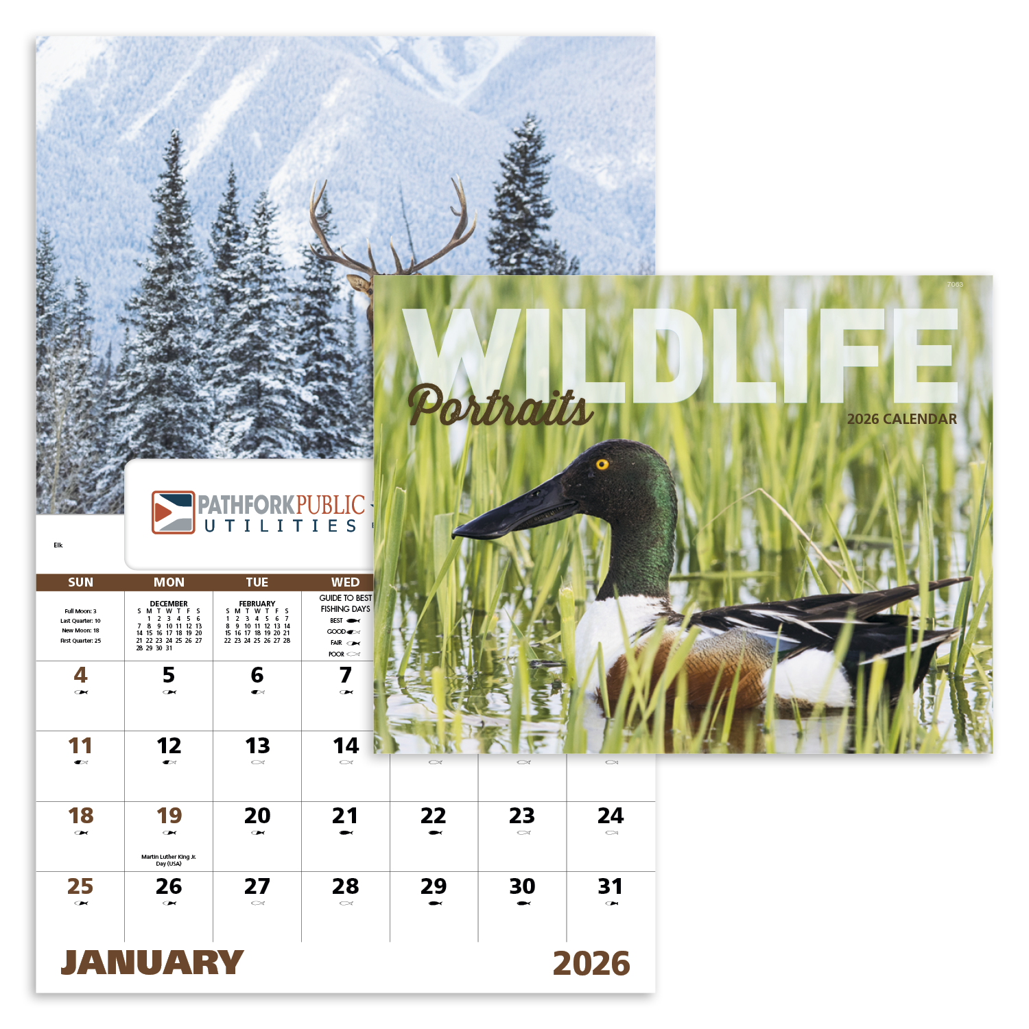 Good Value™ Wildlife Portraits - Window Calendar 11