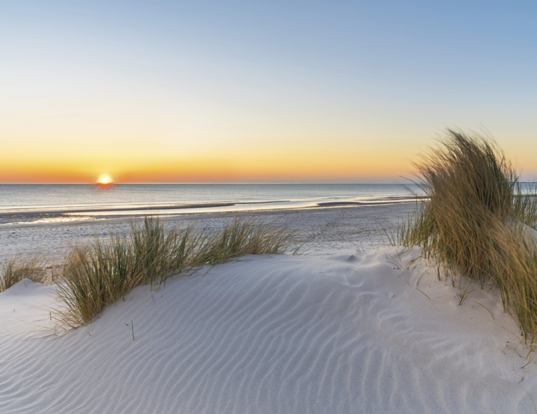 Triumph® Calendars Sunrise Sunset Calendar 40