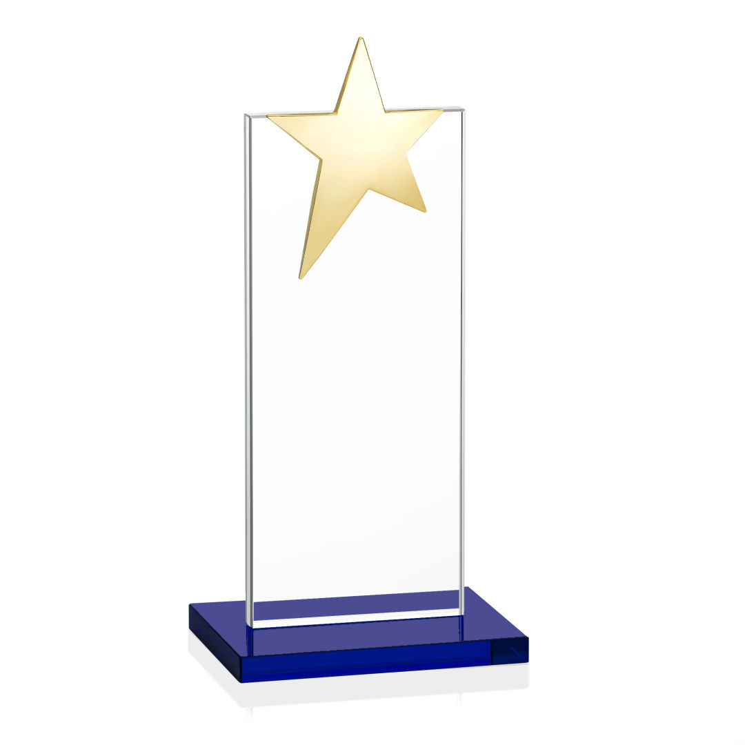 Bryanston Gold Star VividPrint™ Award - Blue 14