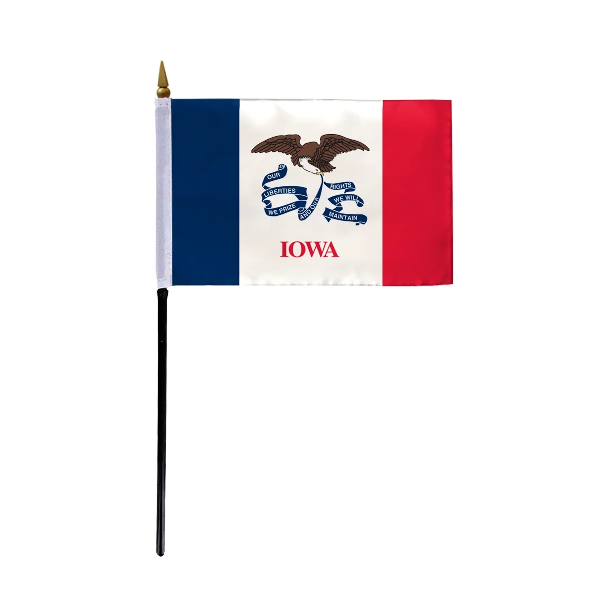 4"x6" & 12"x18'' Iowa ePoly Printed Stick Flags 1