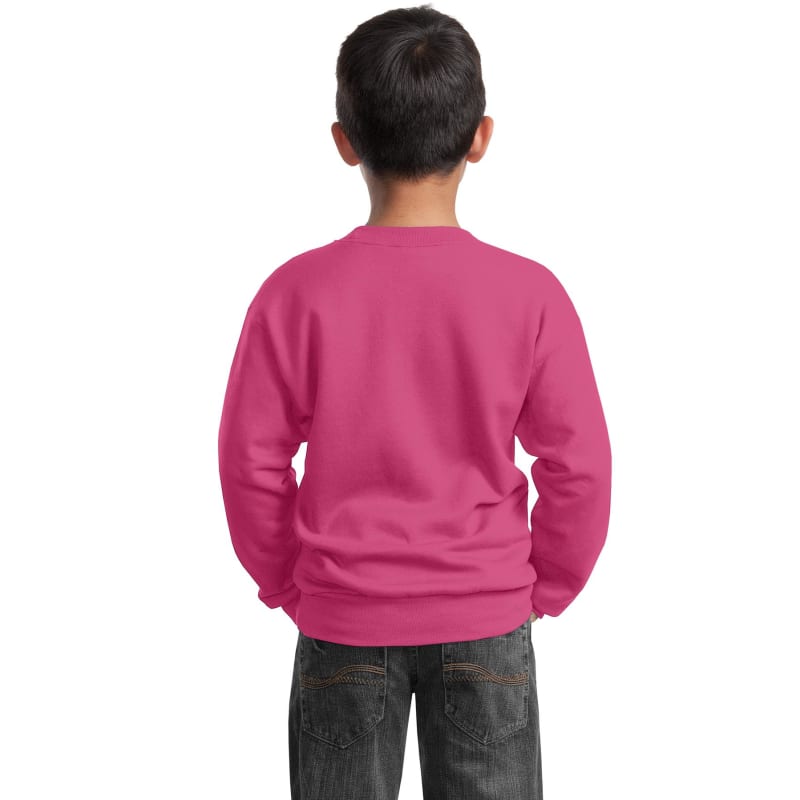 Port & Company Youth Core Fleece Crewneck Sweatshirt. 23