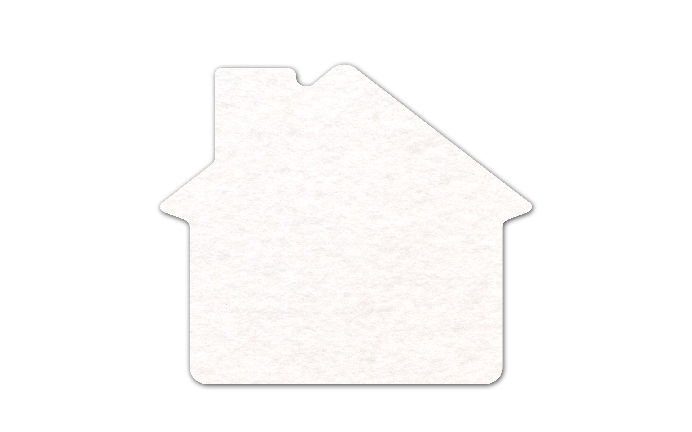 House Shammy Coaster 9