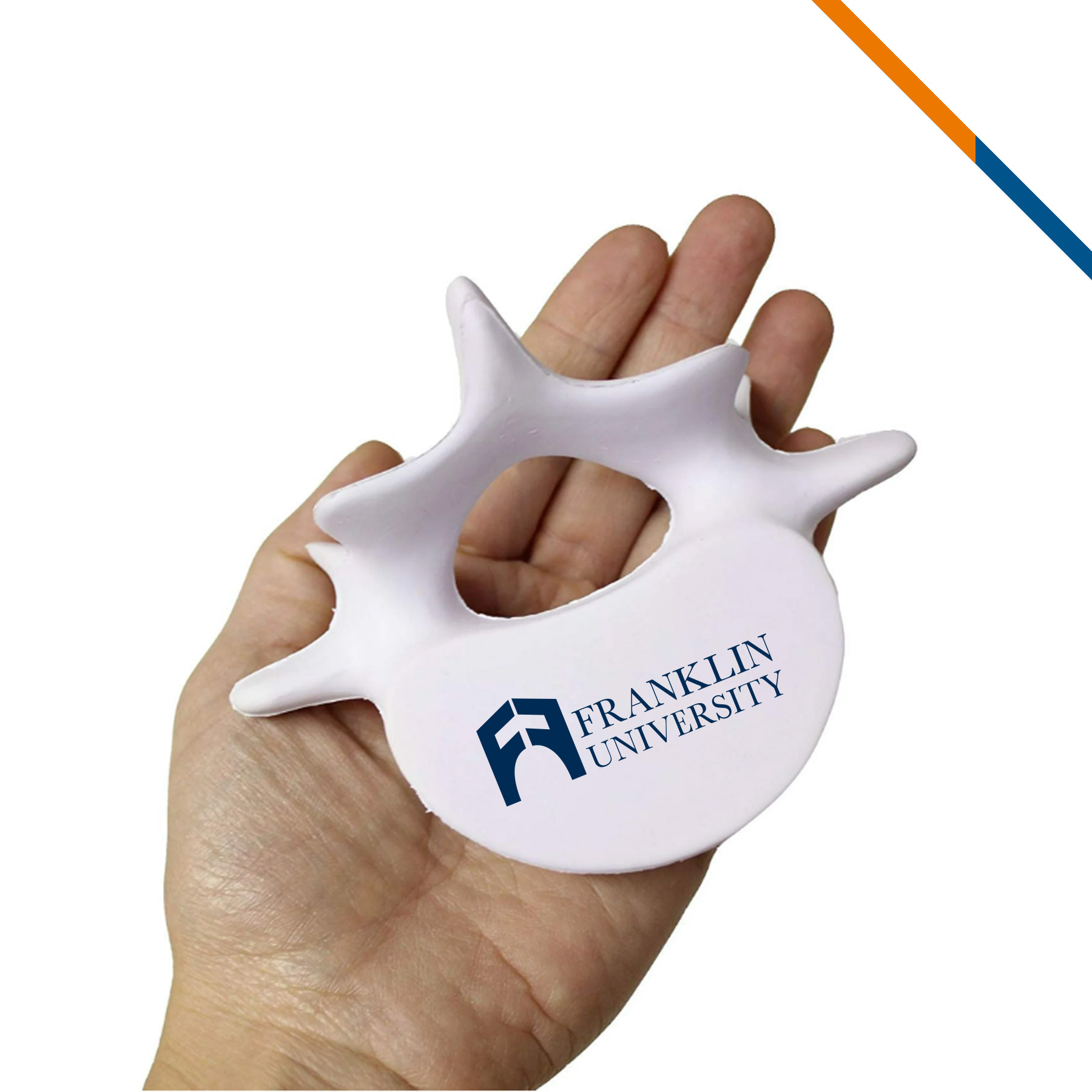 Josiah Vertebrae Stress Ball 1