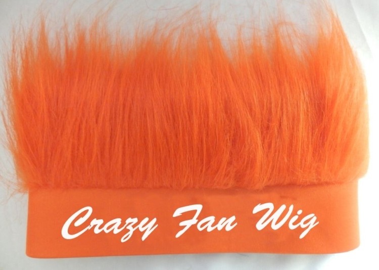 Crazy Fan Wig 2