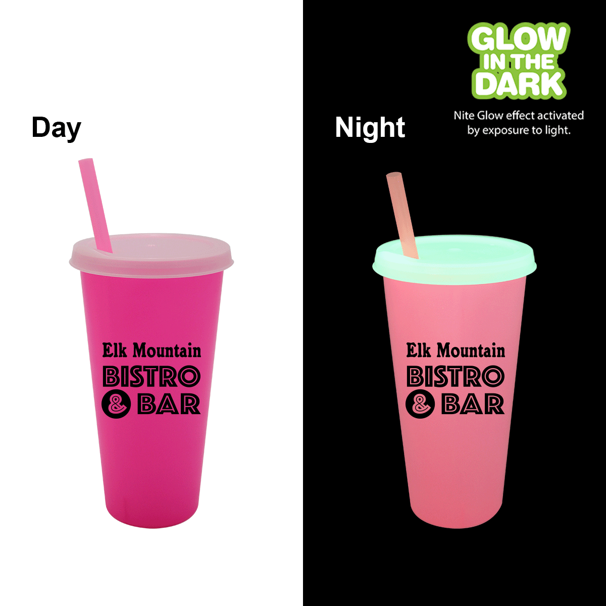 Nite Glow 26 oz. Tumbler with Lid & Straw 14