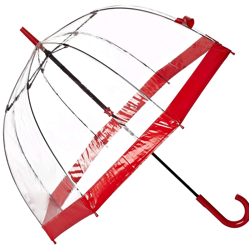 Clear and Transparent Umbrella 5