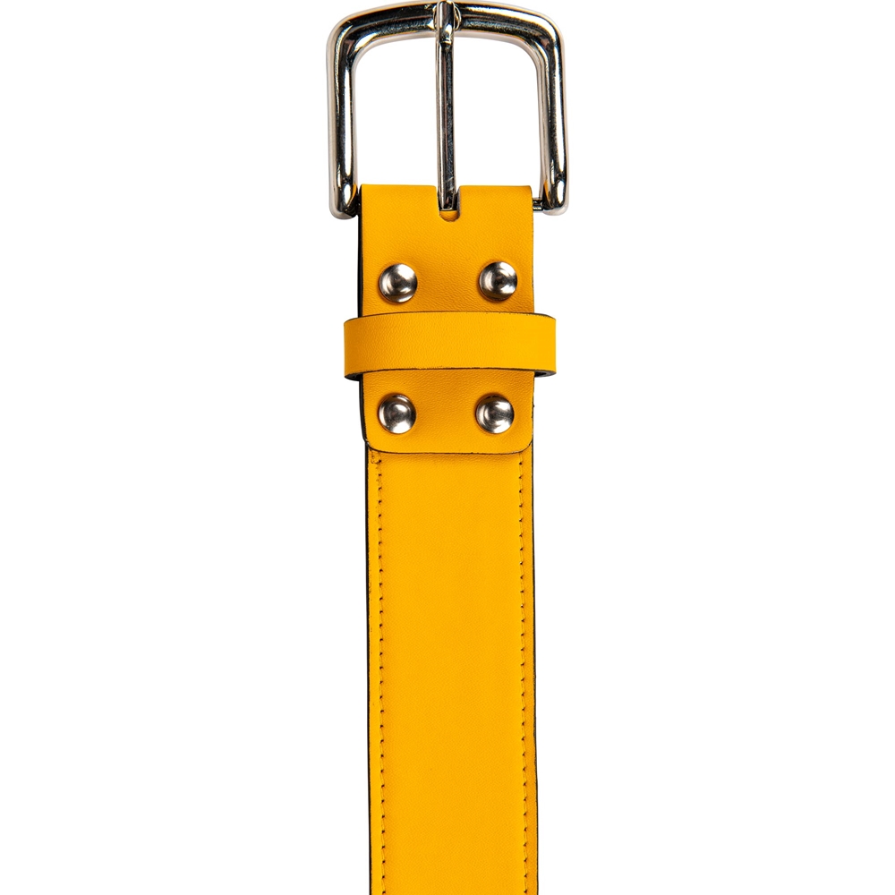Classic Belt 5