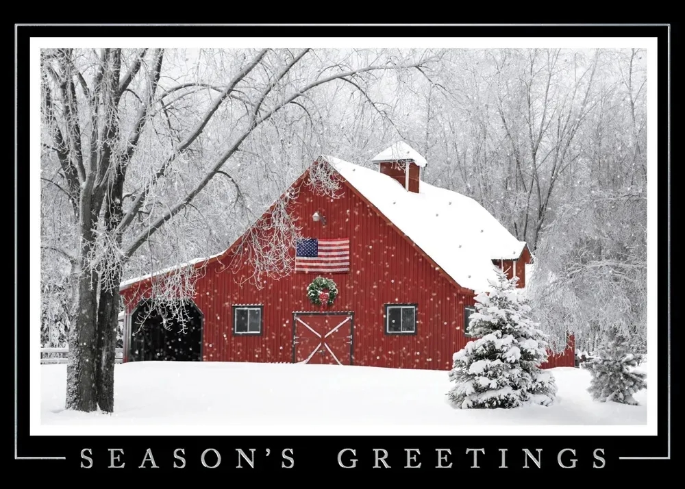Rustic Elegance Holiday Cards 2