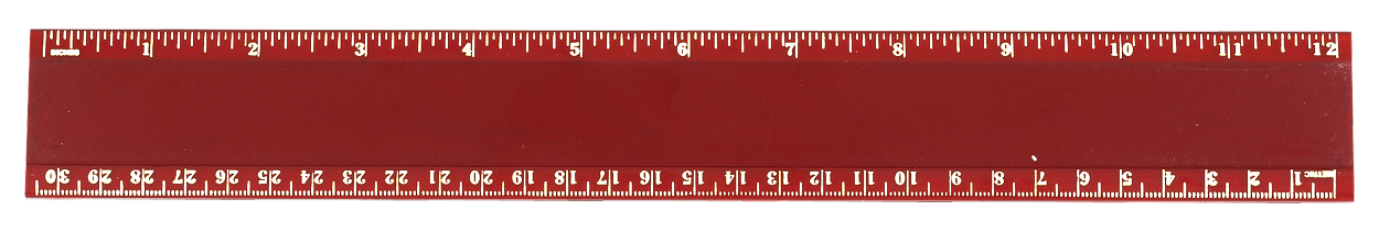 Pro-Scale 12" Plastic Ruler 10