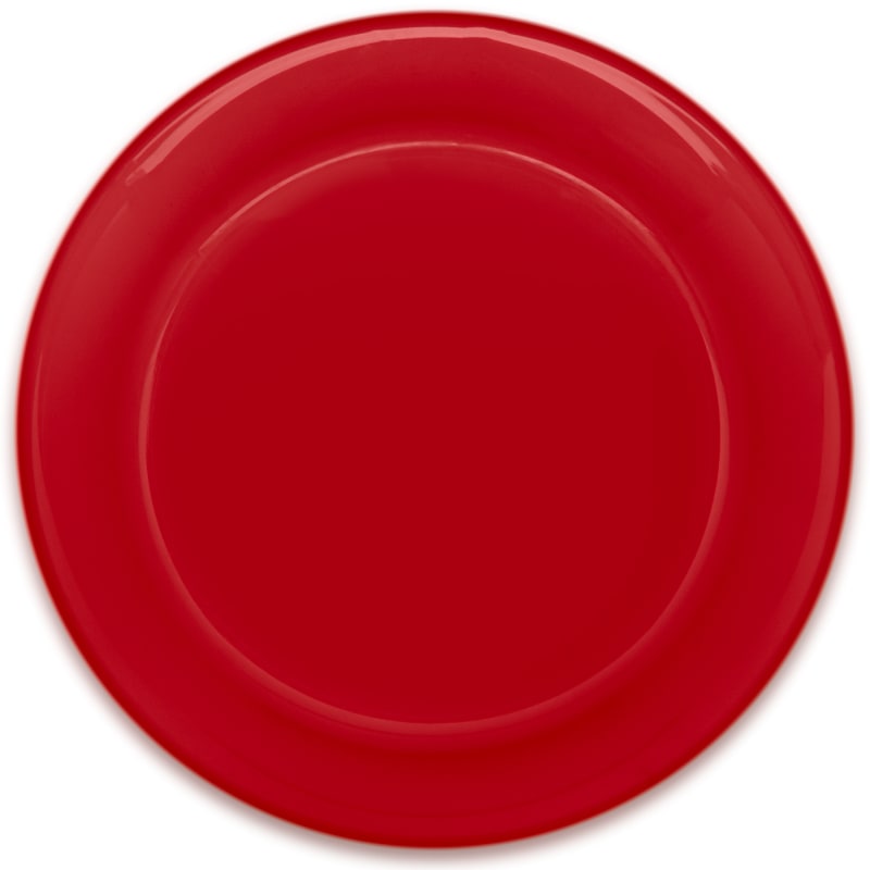 9.25" Custom Flying Discs 13