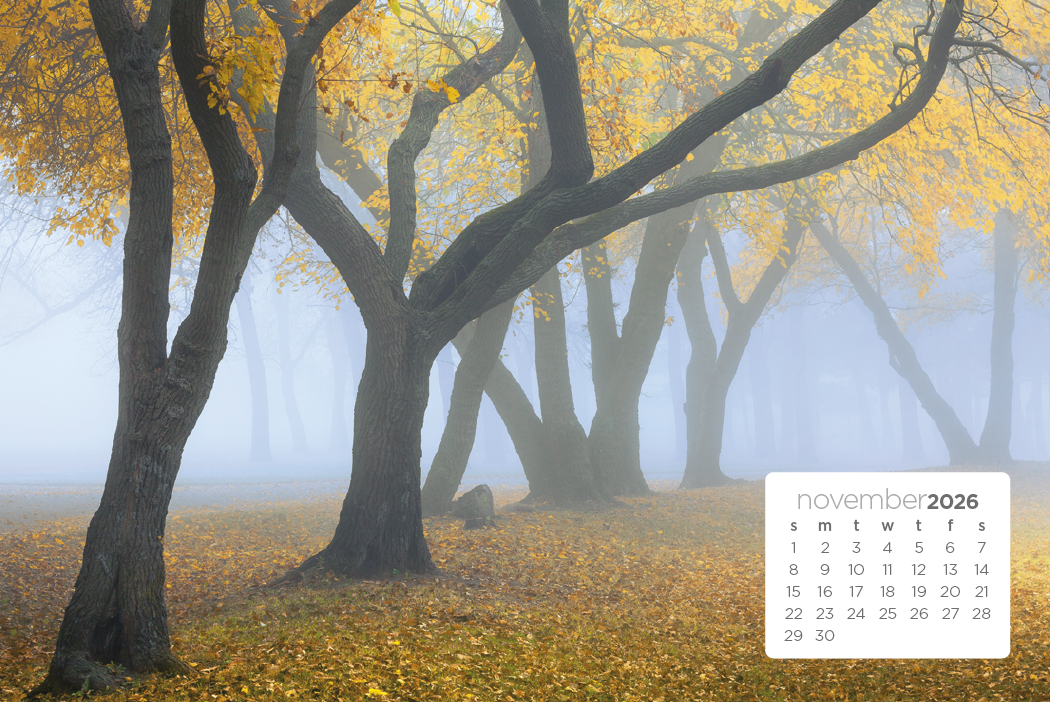 Triumph® Calendars Simplicity Large Desk Calendar 48