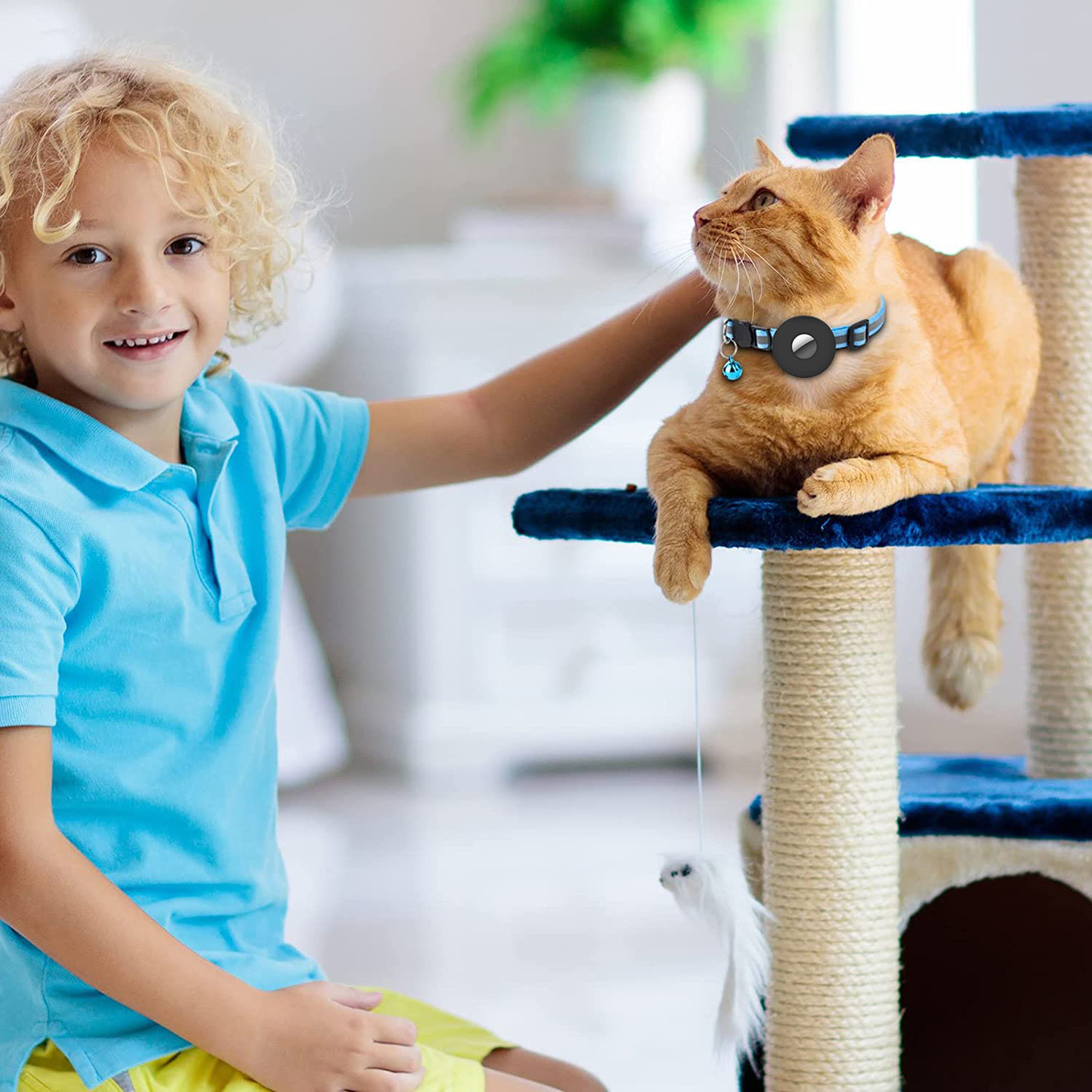 Pet Traceable Cat Collar 4