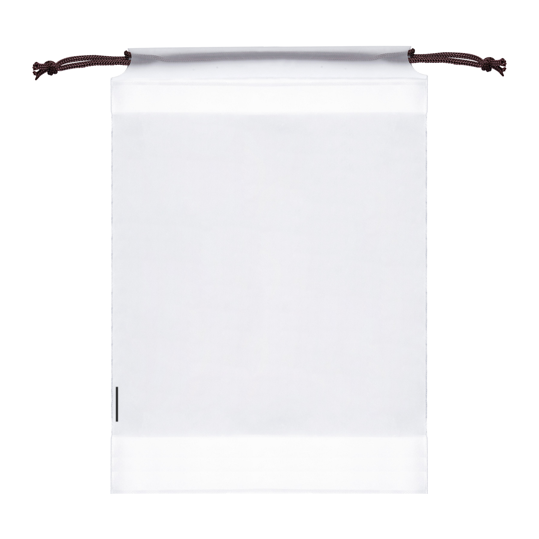 Clear PE Shoe Bags for Travel 10
