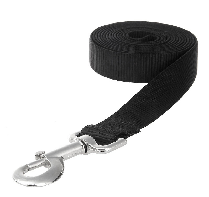 Dog Leash 1