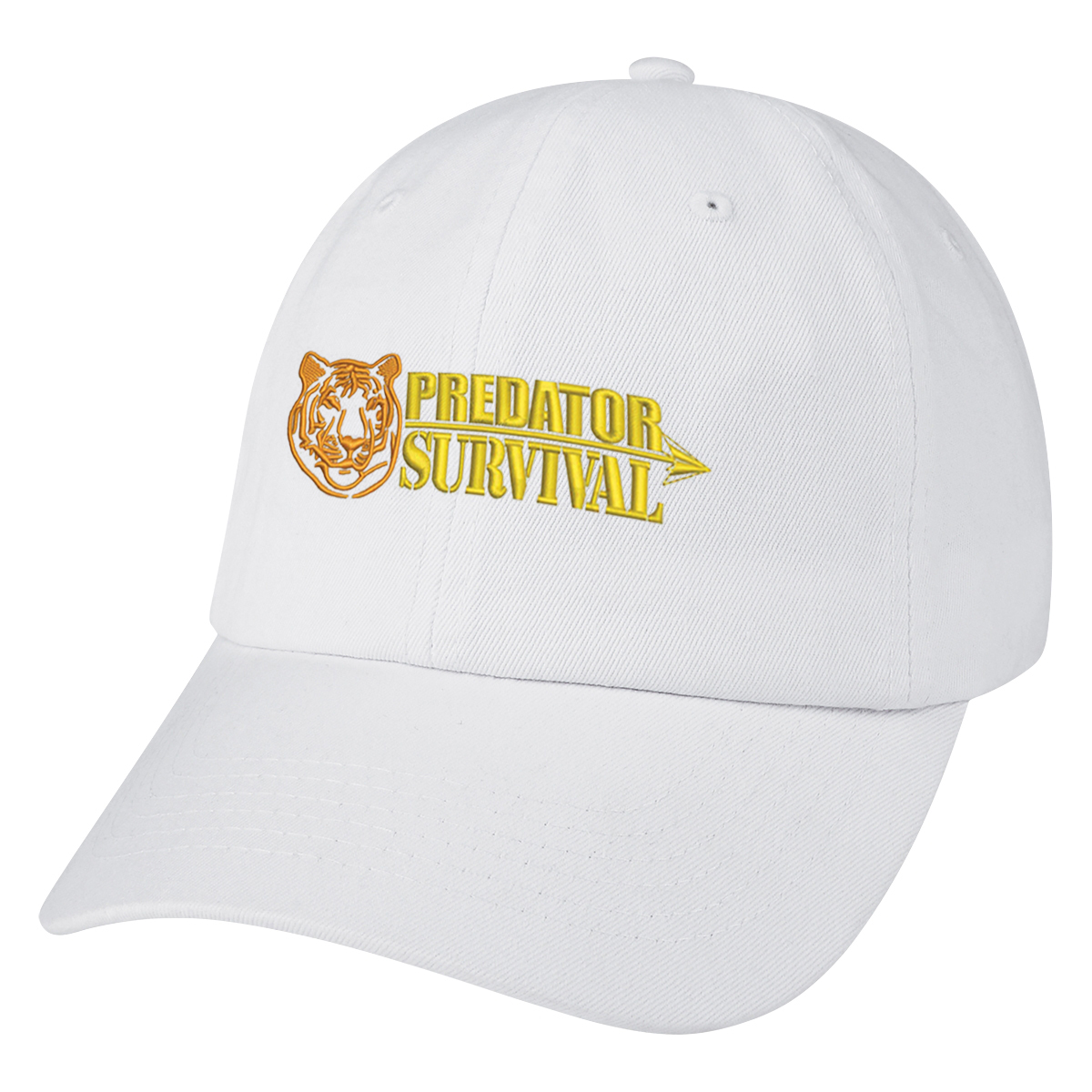 Washed Cotton Cap 19