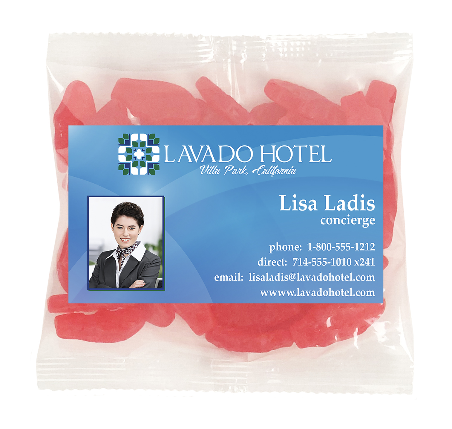 Large Snack Bag with Rectangle Magnet Standard Fill 26
