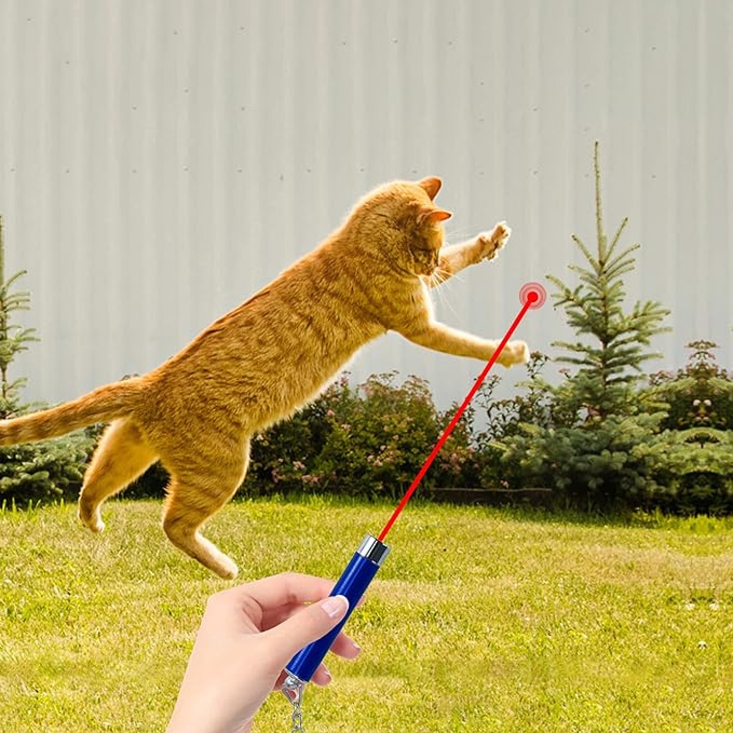 Mini Cat Toys Laser Pointer Pen Keychain Flashlight 3