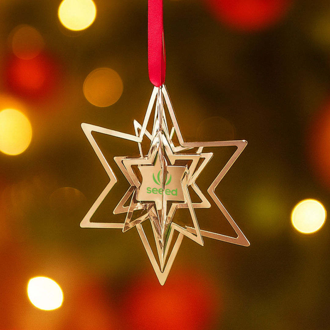 Glittering Celebrate Star Pop Out Ornament 4