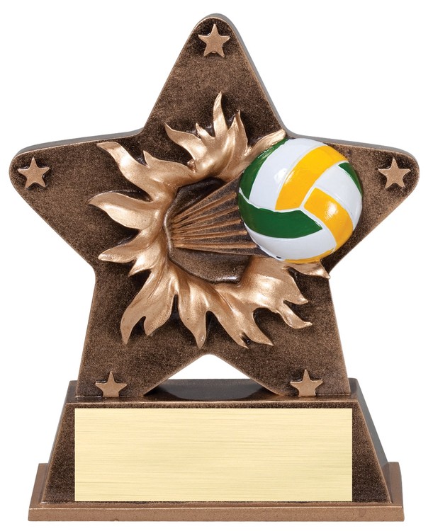 Volleyball Starburst Award 3