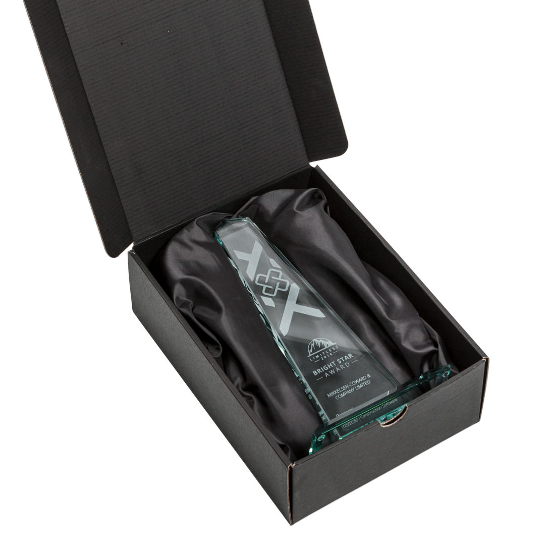 Bonaire Obelisk Award 3