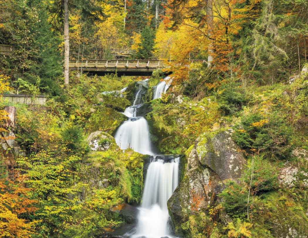 Triumph® Calendars Waterfalls Calendar 71