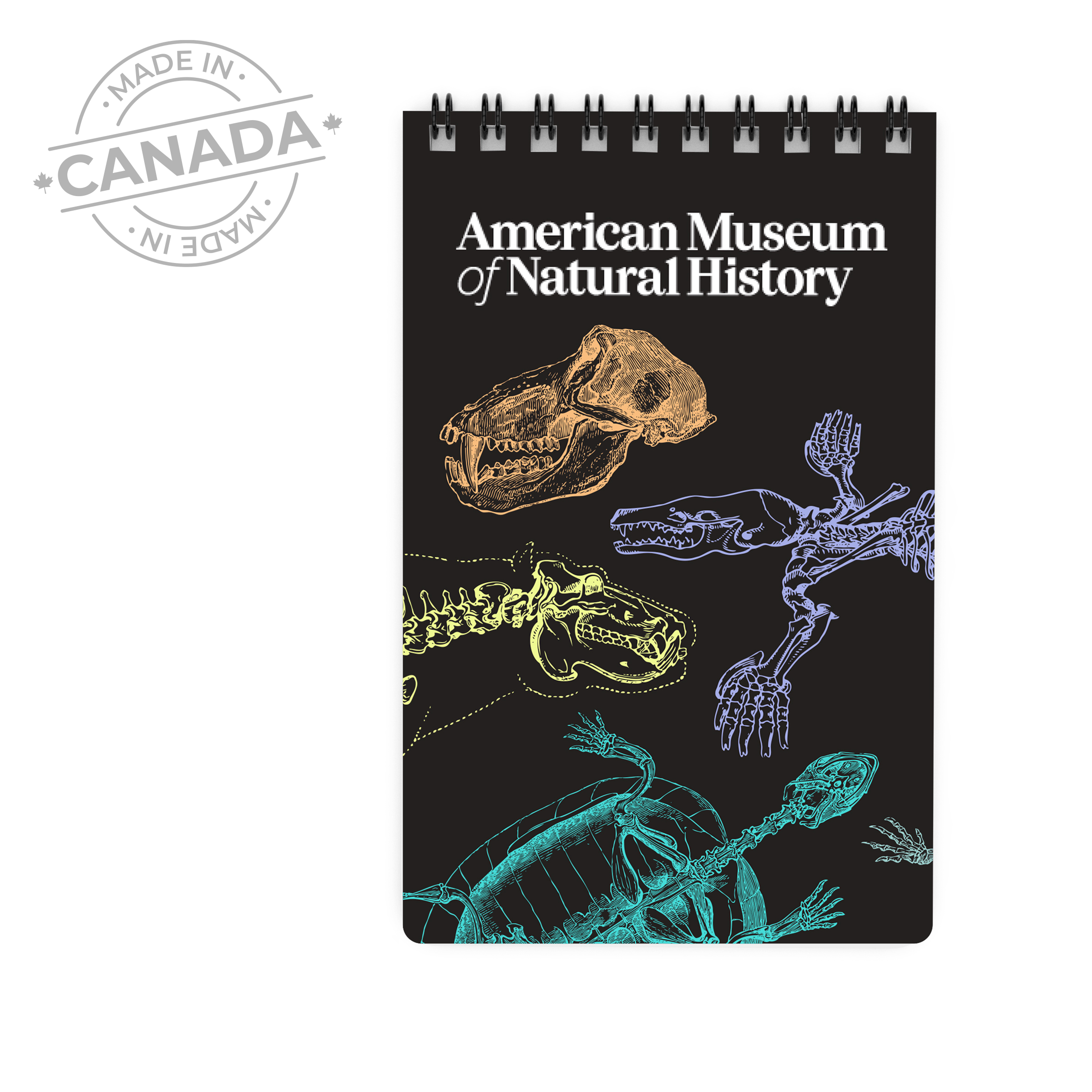 Acorn Pocket Size Notebook, Top Bound 3