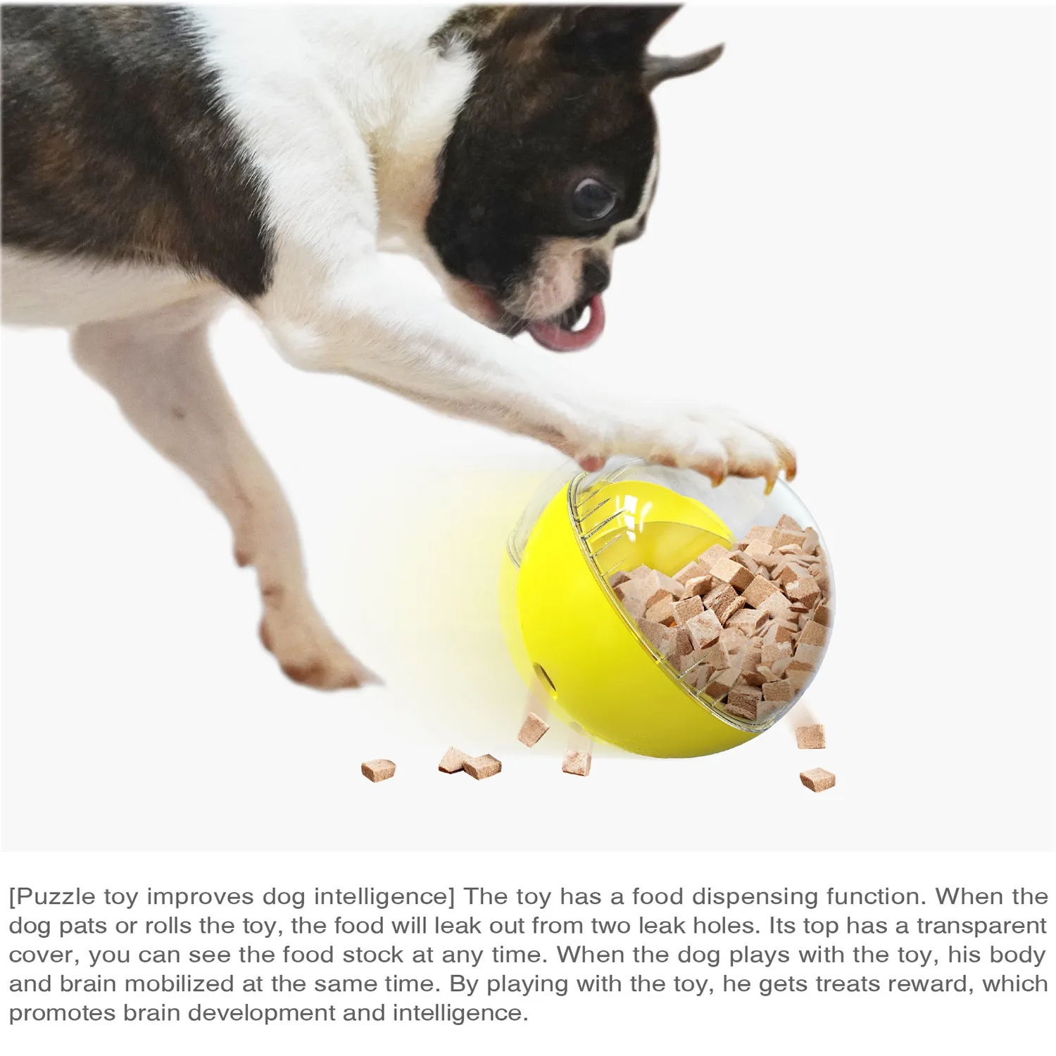 Adjustable Treat Dispensing Pet Ball 9