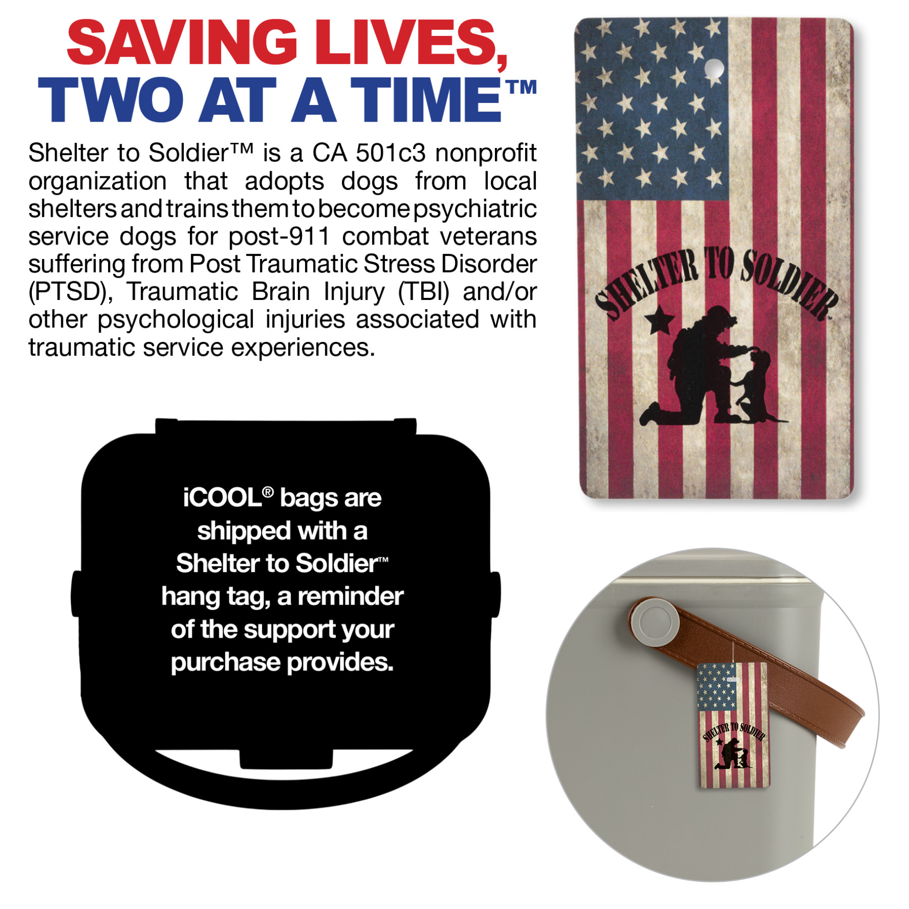 iCOOL Hale 6-Can, 5.25 Qt Hard Sided Cooler 37