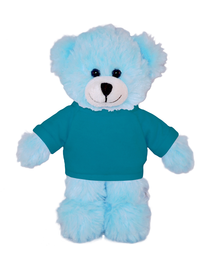 Blue Bear with Tee 17