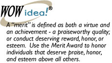 Merit Award 1