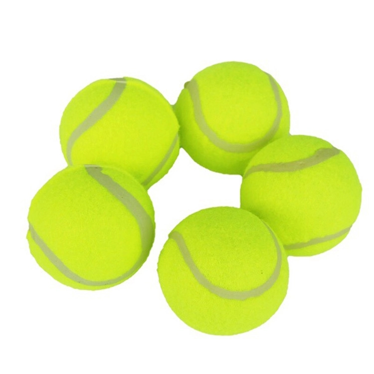 Pet Training Tennis 2