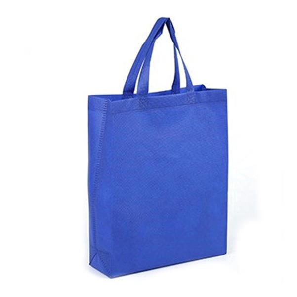Reusable Non Woven Party Bag 4