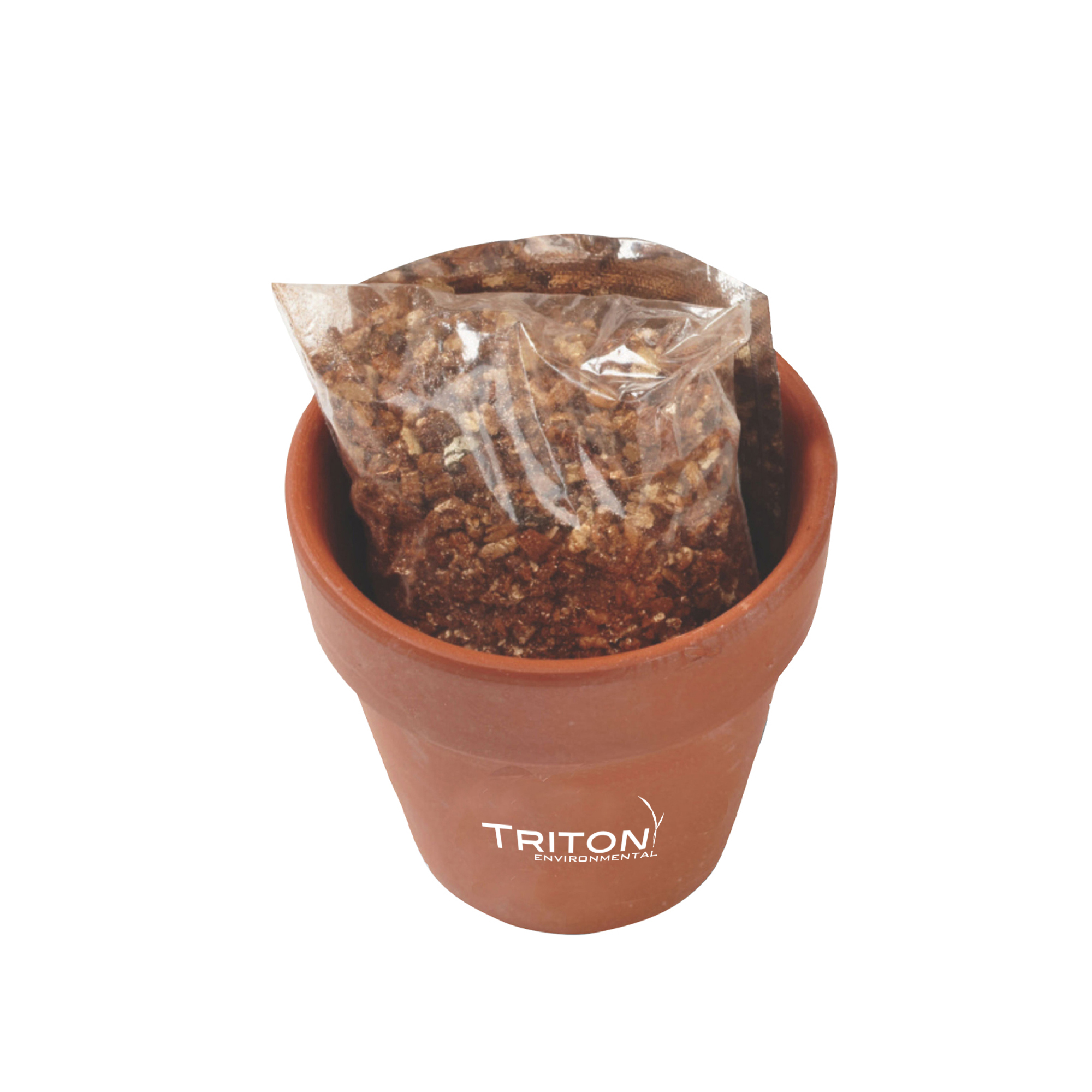 Seed Sensations Terracotta Pot w/Holiday Wrapper 3