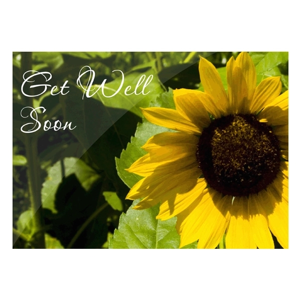 Sunflower Get Well Cards 1