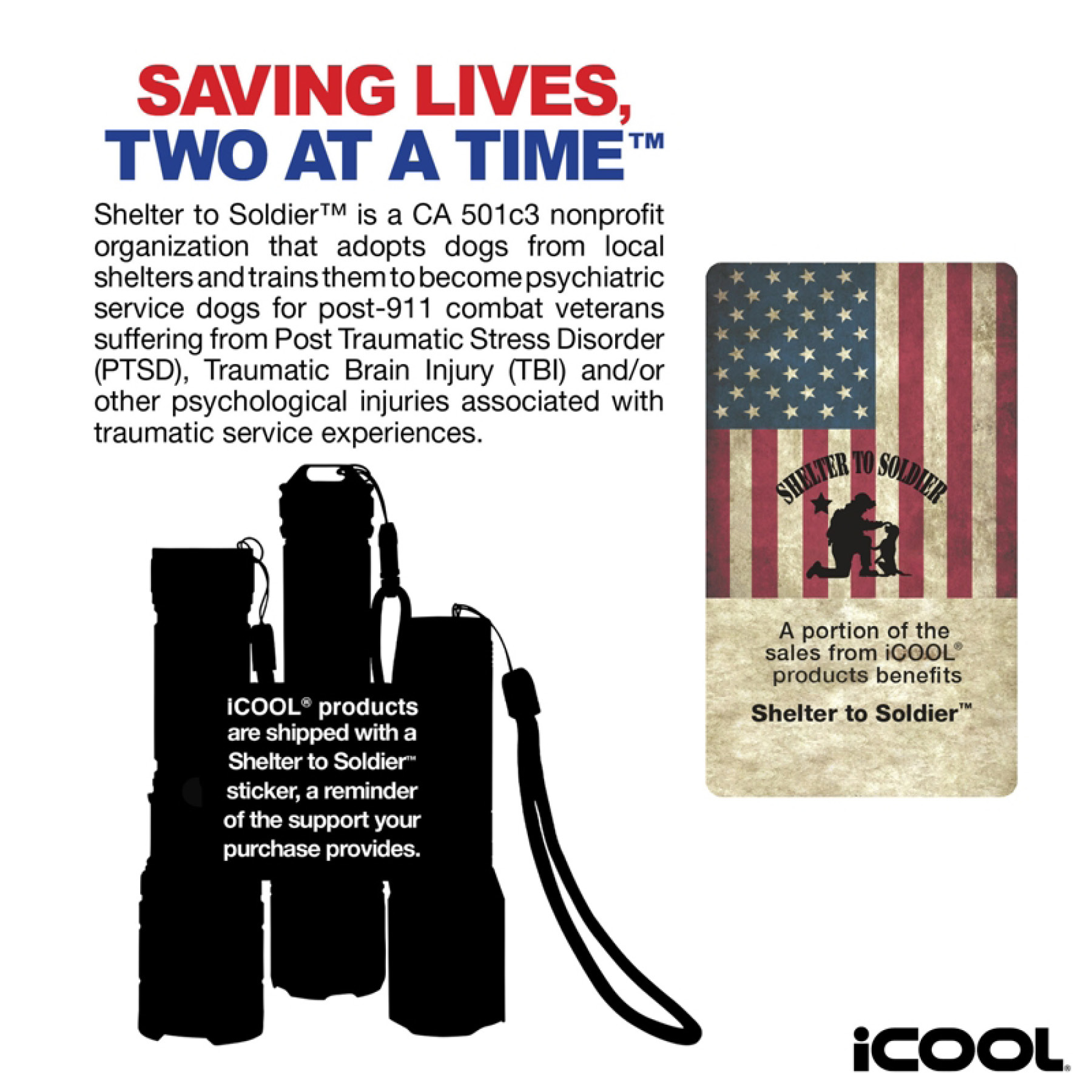 iCOOL Thornton Air Pump / Camping Light 2