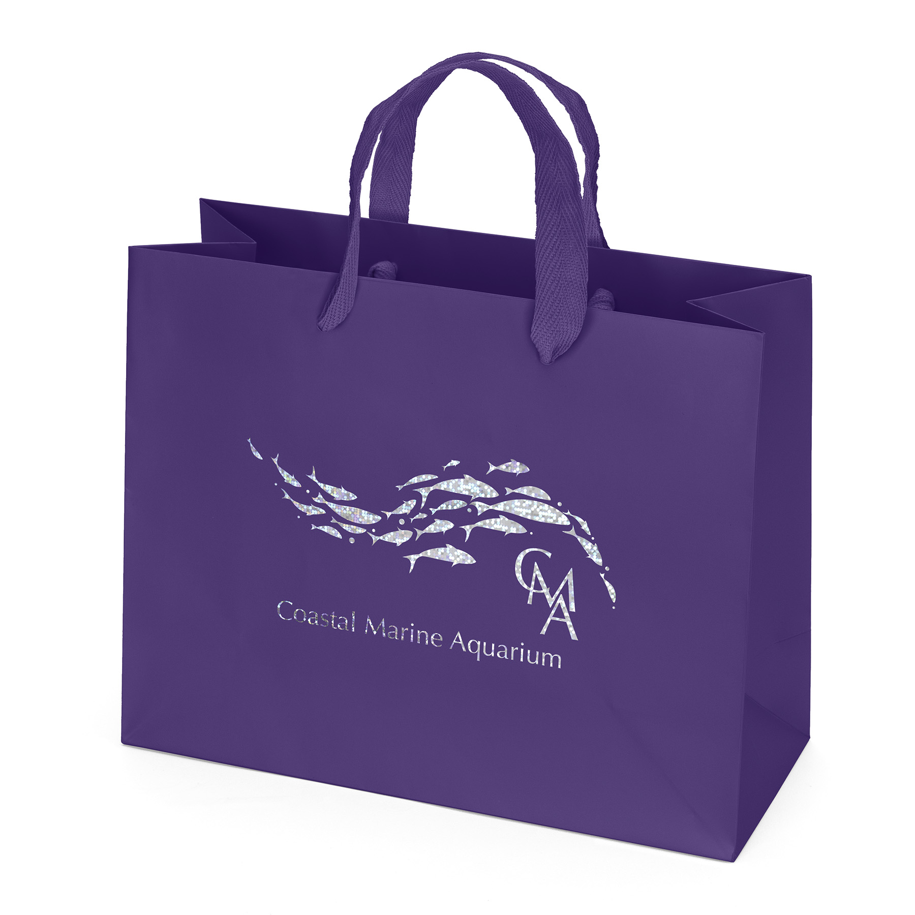 Paris - Matte Eurotote - Foil Print 3