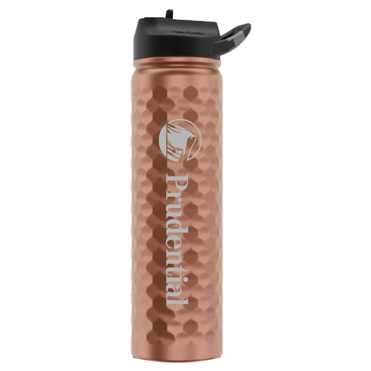 SIC 27oz Stainless Steel Bottle