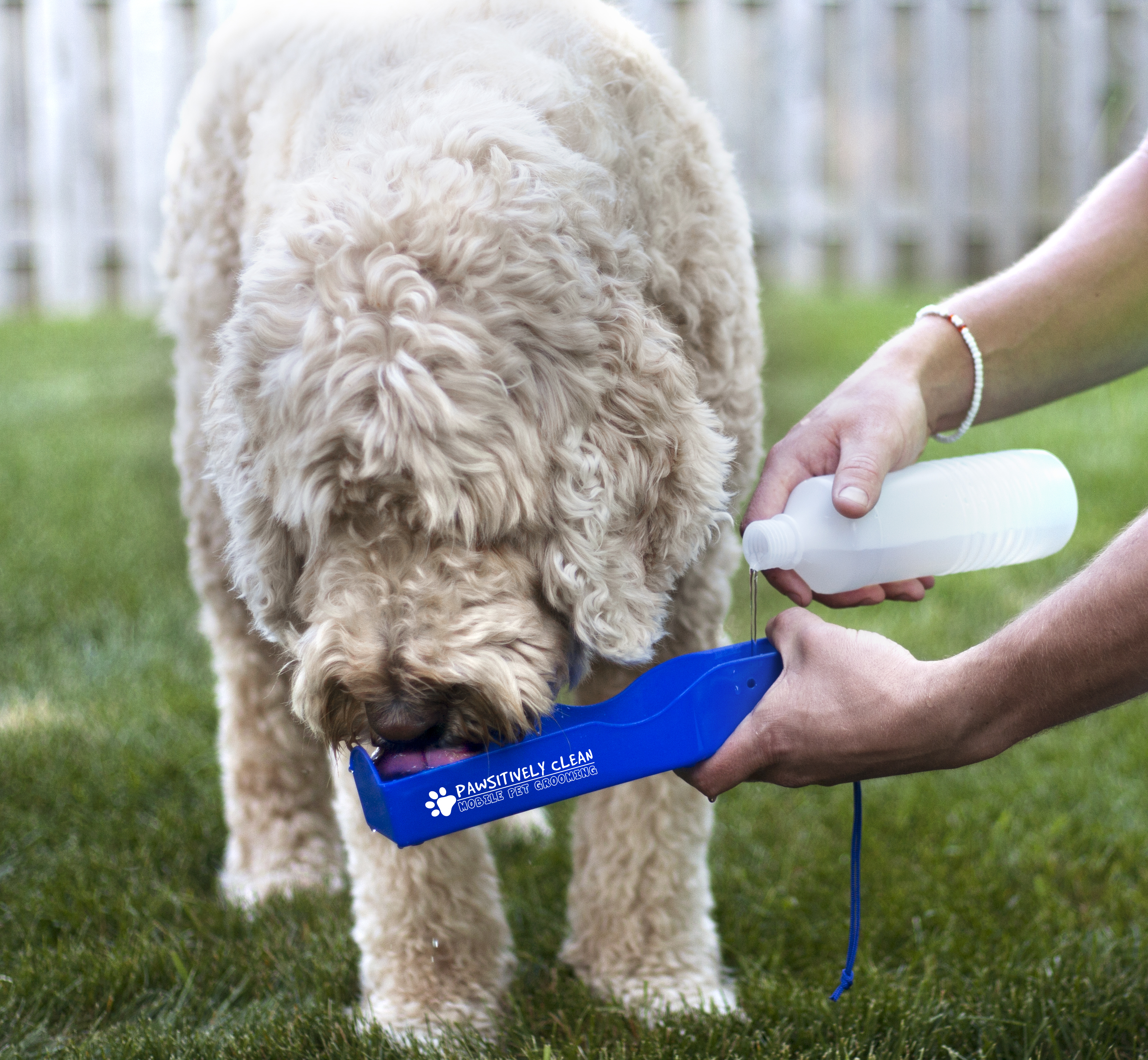 Travel Pet Water Dispenser 2