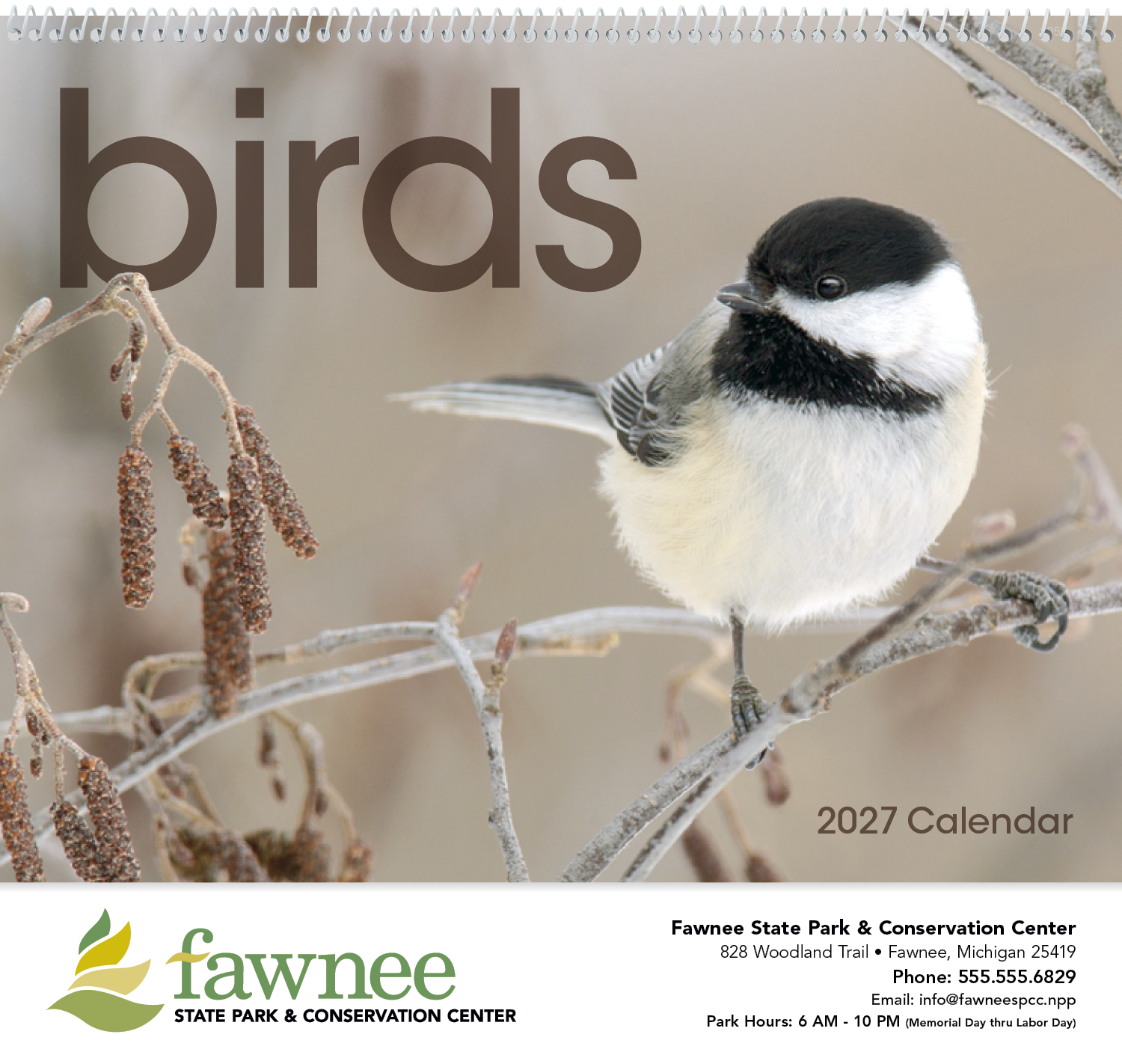 Triumph® Calendars Birds Calendar 24