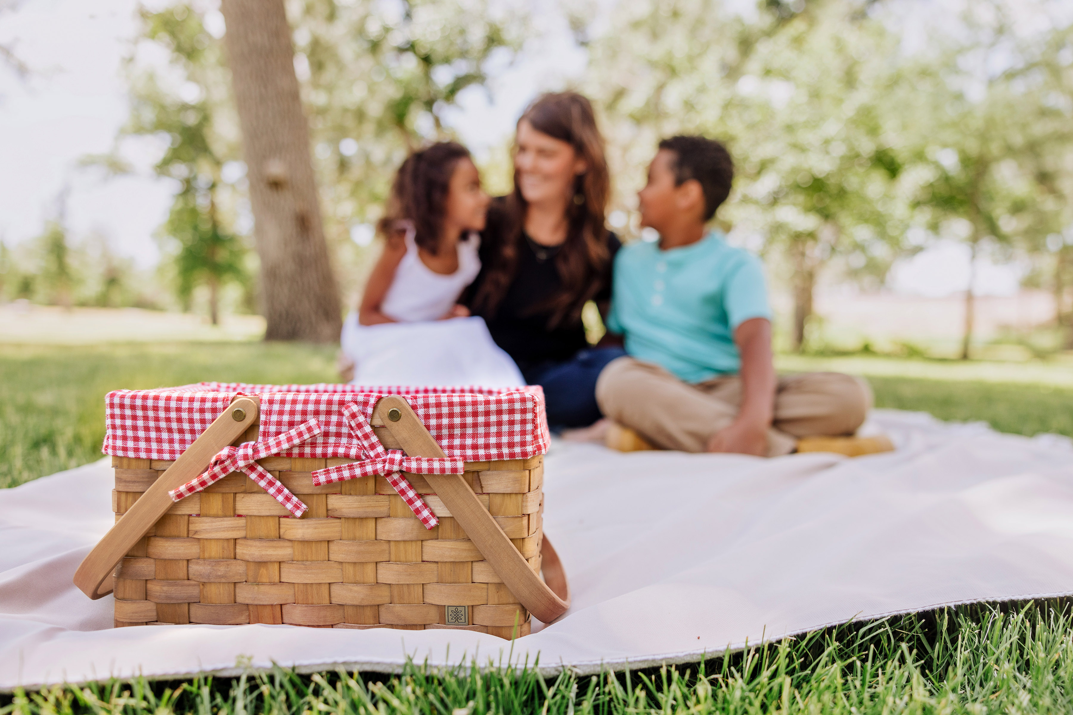 Farmhouse Basket - Red and White Gingham Basket Empty 3